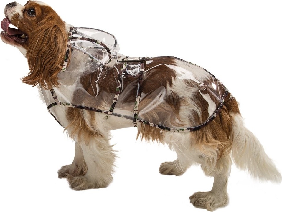Odea Ferplast Raincoat Tg.34 Köpek Yağmurluğu, Şeffaf görsel 3