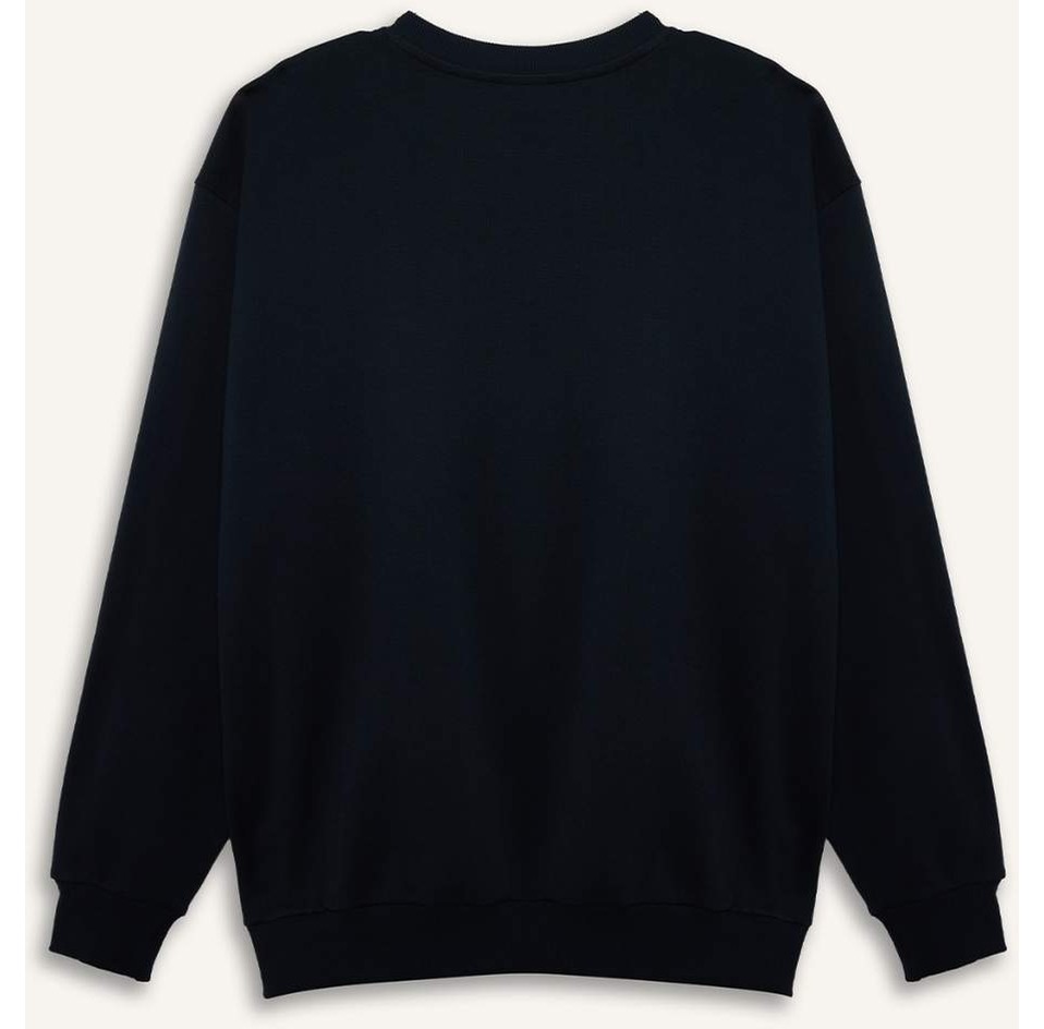DeFacto Pamuklu Boxy Fit Büyük Beden Bisiklet Yaka Pike Sweatshirt H1001AX26SP görsel 3