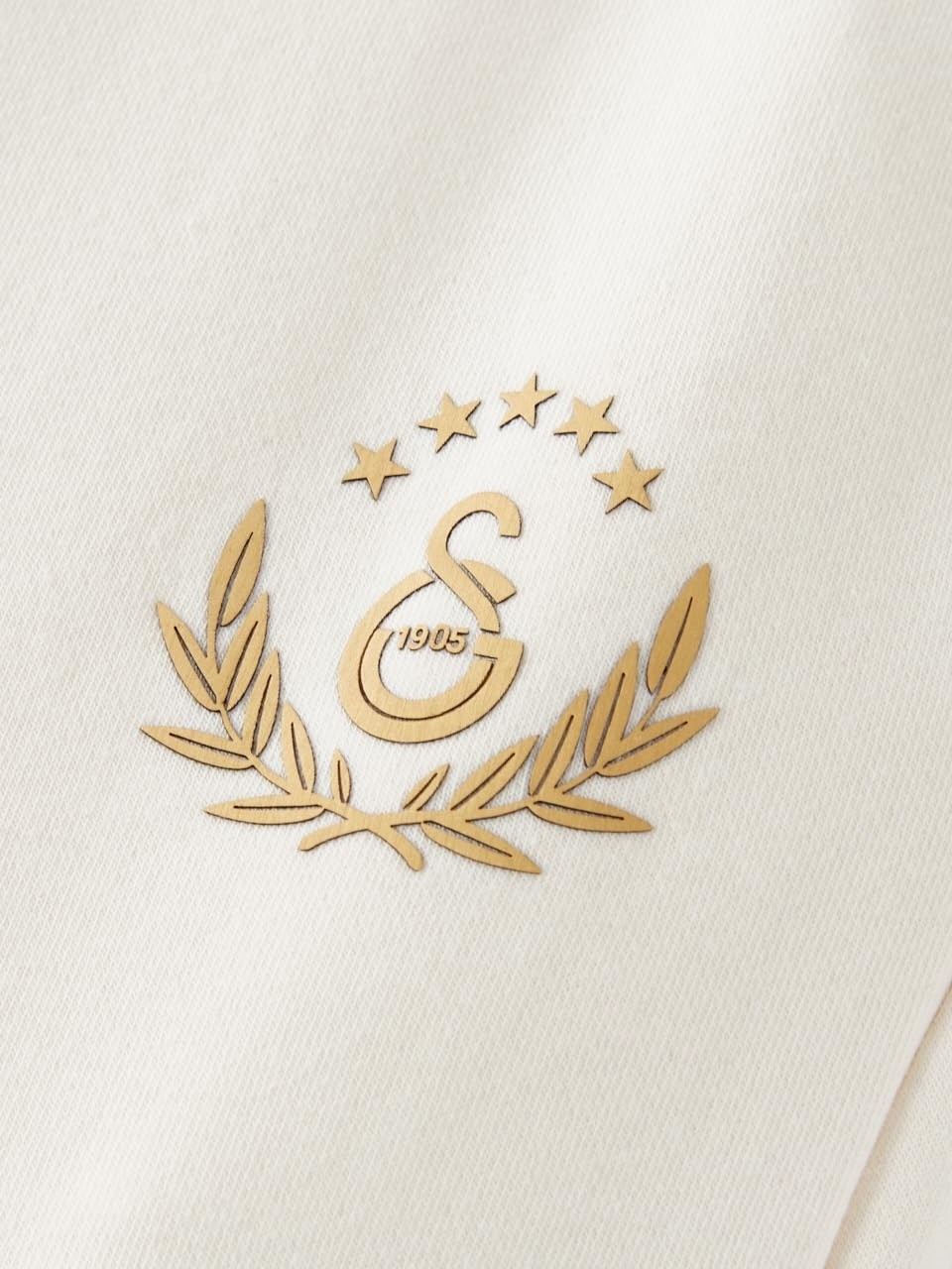 Die Grup Galatasaray Erkek Eşofman Alt E252139 görsel 5