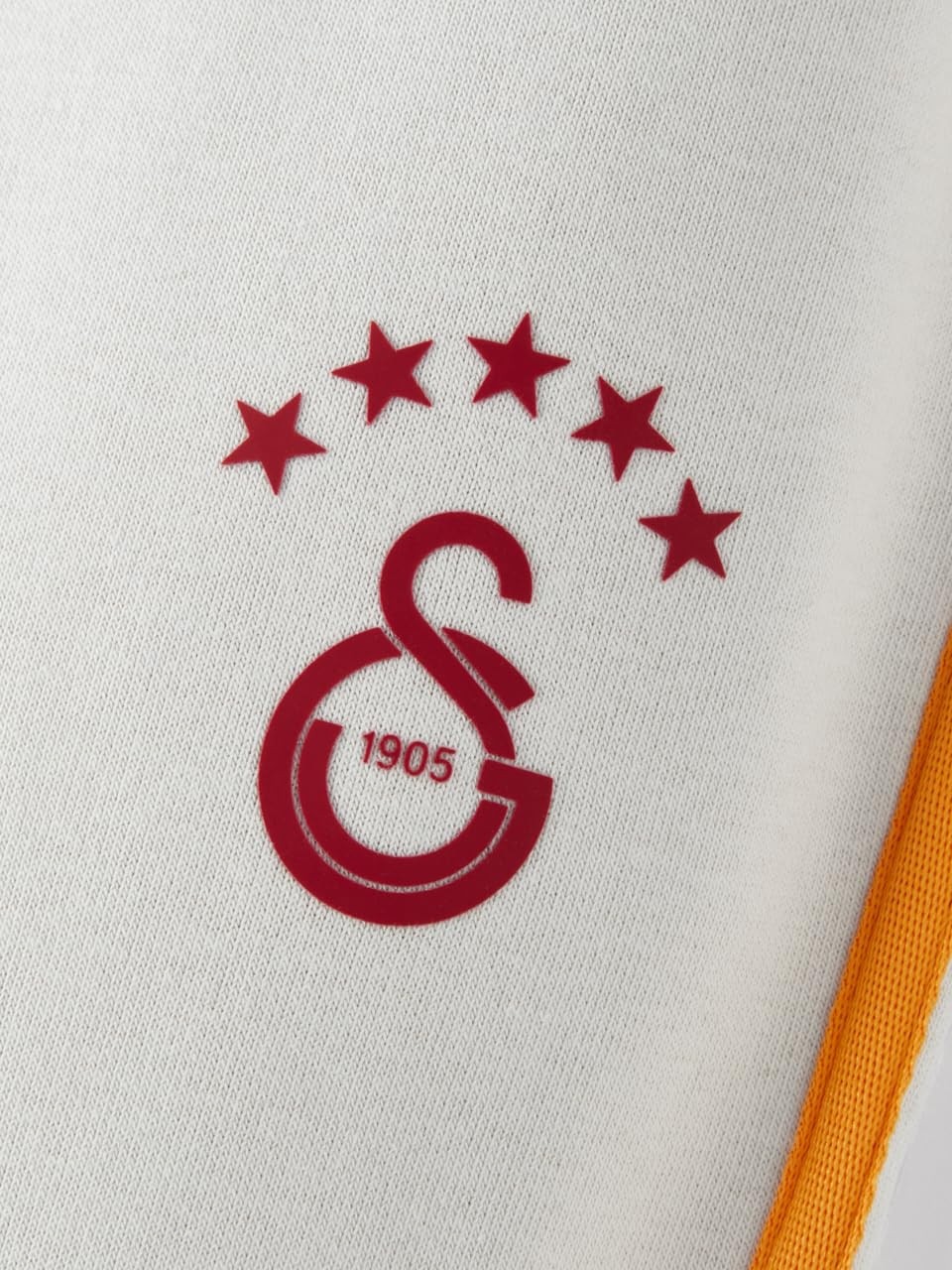 Die Grup Galatasaray Erkek Eşofman Alt E252125 görsel 5