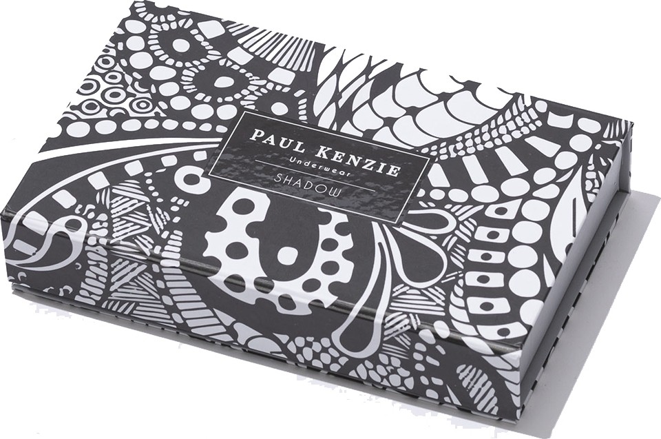 Paul Kenzie 3'lü Kadın Slip Külot - Shadow 2 görsel 2