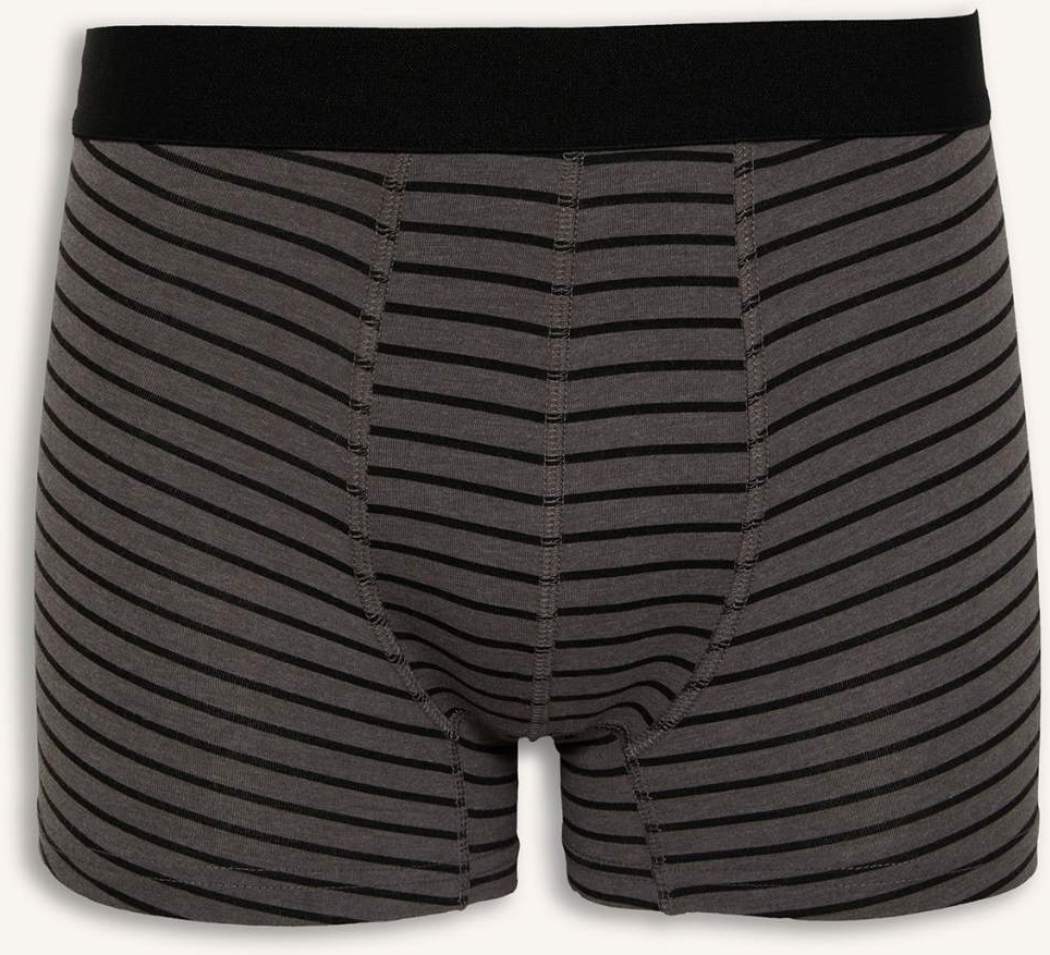 DeFacto Regular Fit Şal Desenli 3'lü Boxer C3883AX26AU görsel 6