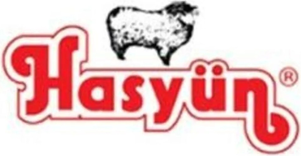Hasyün Erkek 2 Li Paket Alt Üst Yün Içlik Set 00100S görsel 5