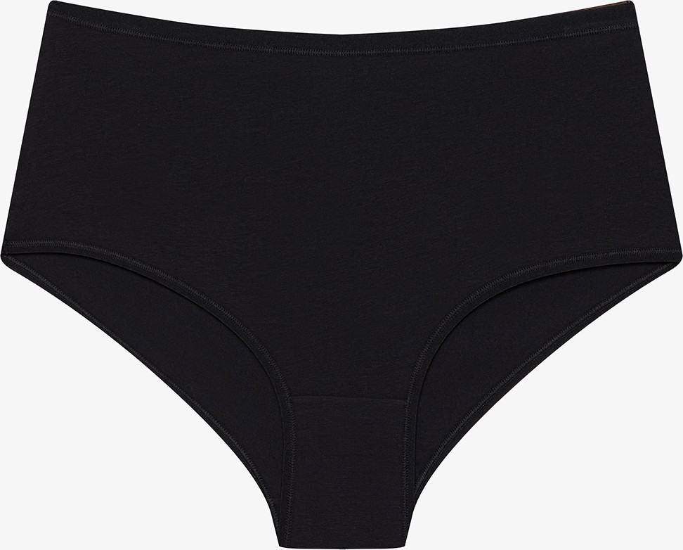 Penti Siyah Yüksek Bel 3'lü Pamuklu Slip Külot görsel 2