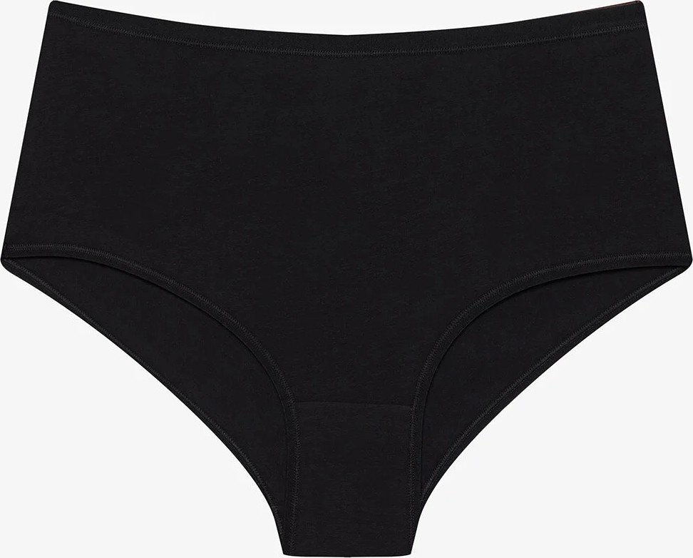 Penti Siyah Pamuklu Yüksek Bel 3'lü Slip Külot görsel 2