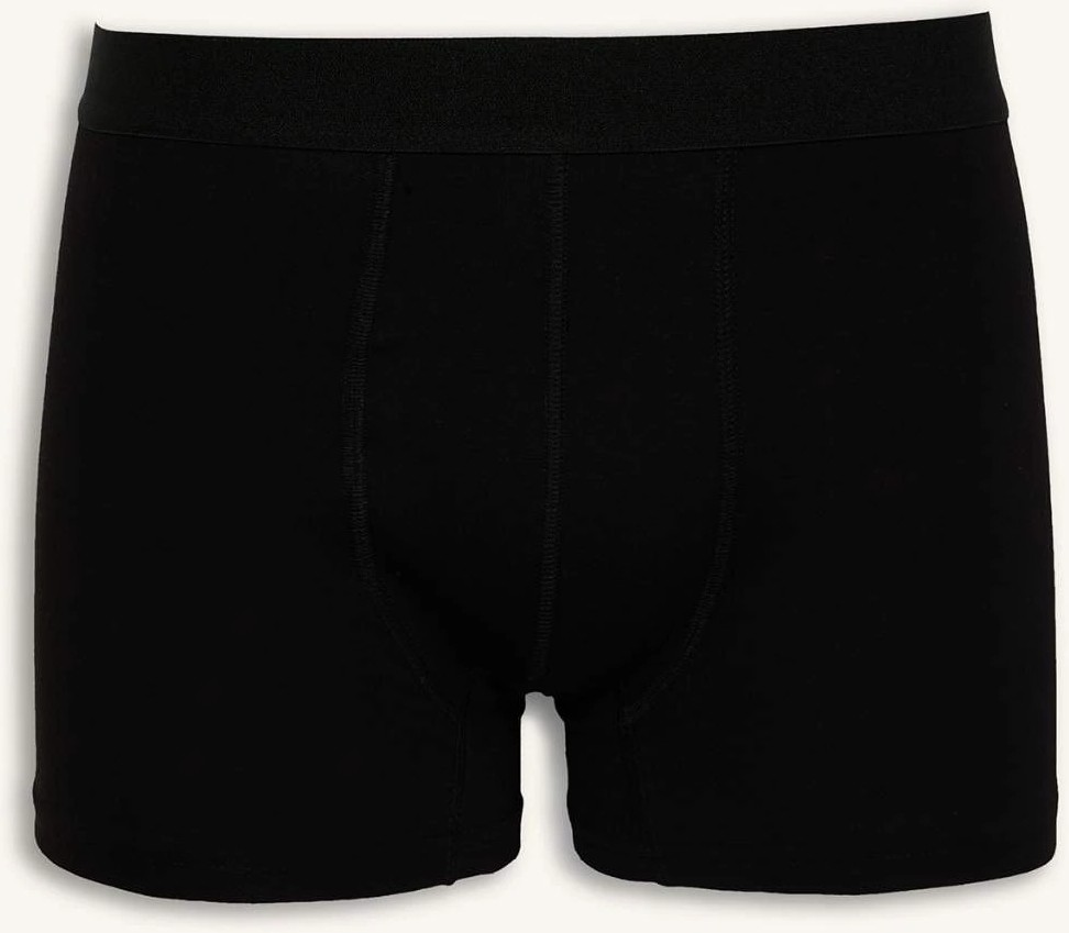 DeFacto Regular Fit Şal Desenli 3'lü Boxer C3883AX26AU görsel 5