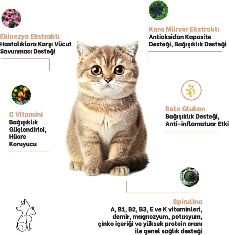 Die Grup Kahu Naturals Immunovital Malt Kedi Vitamin Takviyesi, Beta Glukan, Ekinezya, Propolis, KARAMÜRVER,100 ml görsel 4