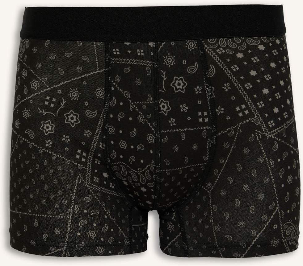 DeFacto Regular Fit Şal Desenli 3'lü Boxer C3883AX26AU görsel 2