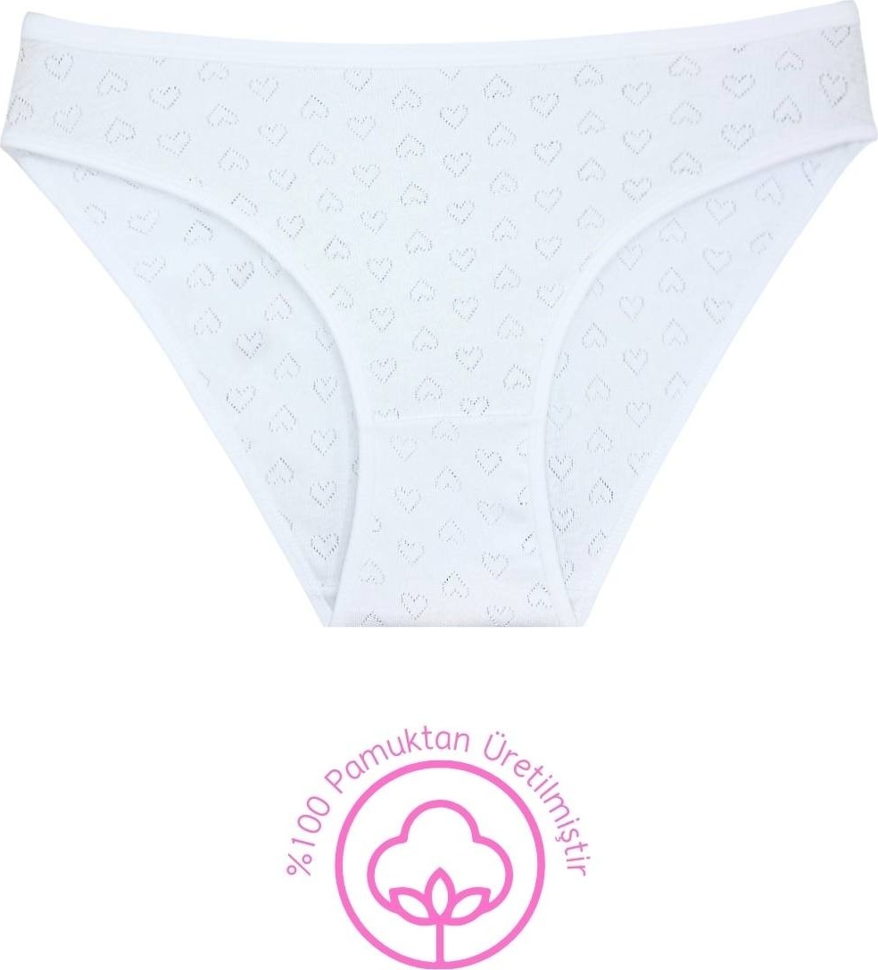 New Lilla 1501 Kalpli %100 Pamuklu 5'li Kadın Bikini Külot Paketi görsel 4