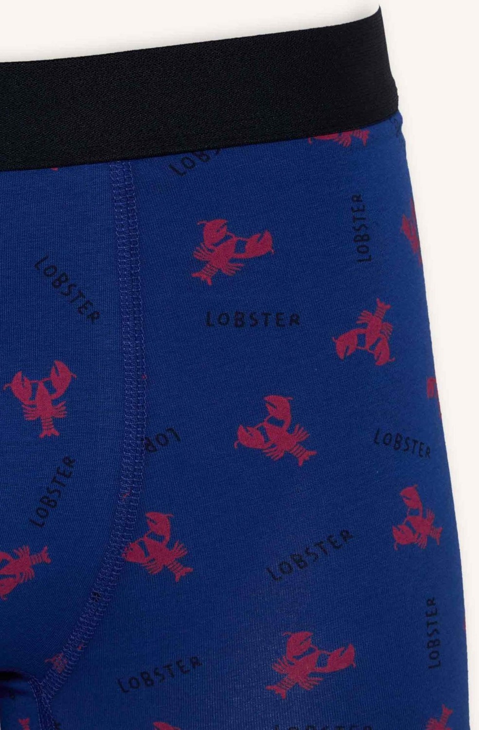 DeFacto Regular Fit Hayvan Baskılı 3'lü Lacivert Boxer Seti C3291AX26SP görsel 5
