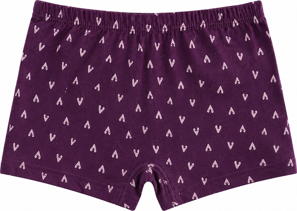 Özkan Underwear Özkan 41602 5'li Paket Kız Çocuk Karışık Renkli Desenli Pamuklu Yumuşak Rahat Şort Boxer görsel 5