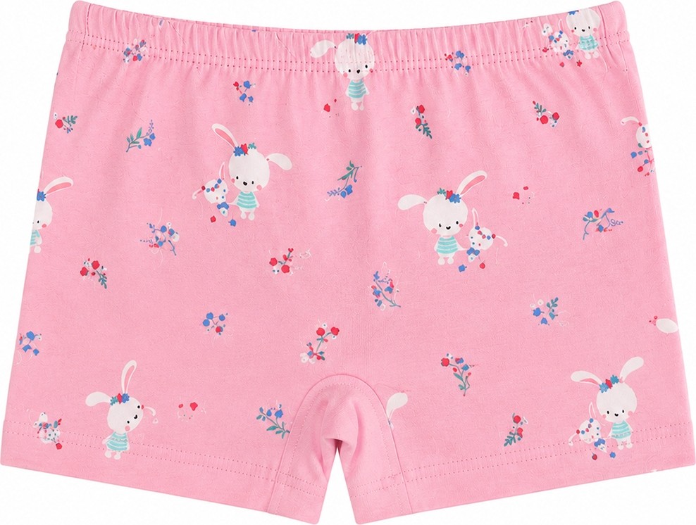 Özkan Underwear Özkan 41602 5'li Paket Kız Çocuk Karışık Renkli Desenli Pamuklu Yumuşak Rahat Şort Boxer görsel 4