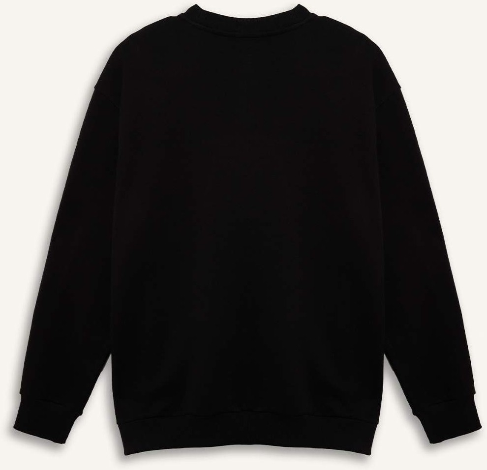 DeFacto Pamuklu Boxy Fit Büyük Beden Bisiklet Yaka Pike Sweatshirt H1001AX26SP görsel 6