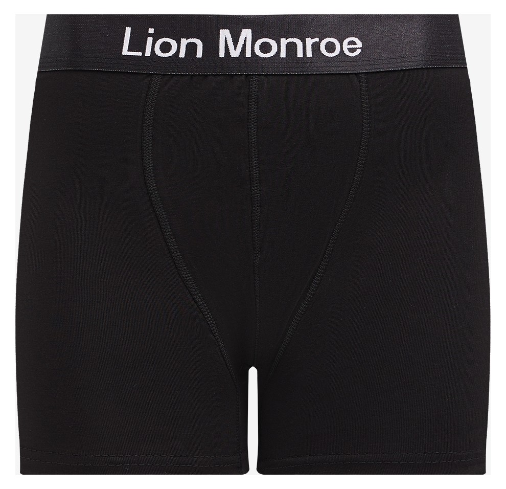 Lion Monroe Erkek Premium Saf Pamuklu Siyah 6'lı Esnek Boxer Paketi Hediye Kutulu - QUİTE BLACK görsel 3