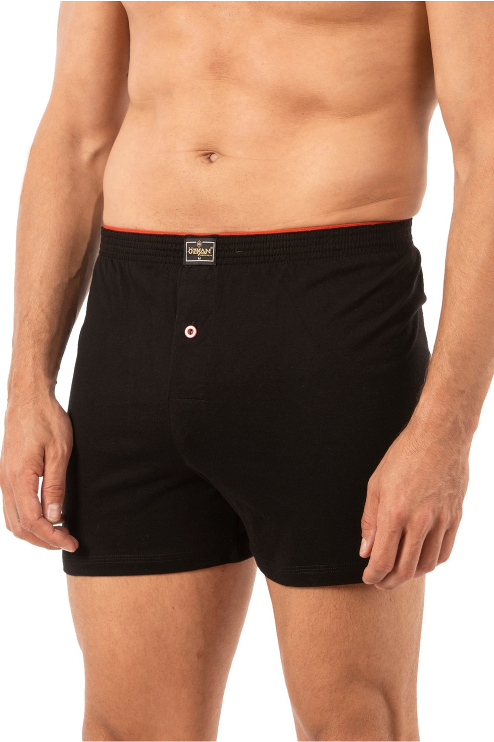 Özkan Underwear Özkan 0041 3'lü Paket Erkek Karışık Renk Şardonlu Pamuklu Düğmeli Penye Boxer görsel 4