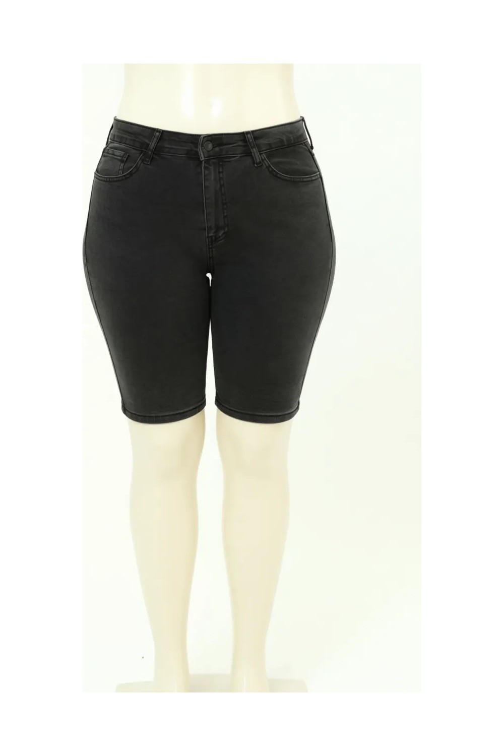 Cedy Denim CEDY DENİM KADIN BÜYÜK BEDEN YÜKSEK BEL LİKRALI SLİMFİT JEANS ŞORT-C606 görsel 7