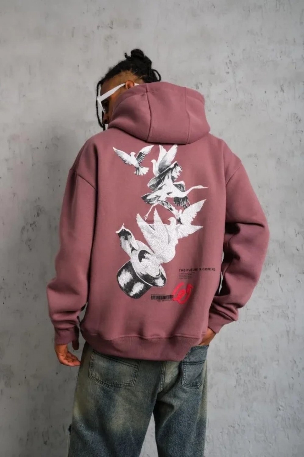 Pileli Store Erkek Şapkalı Güvercin Baskılı Kapşonlu Sweat - Gül Kurusu
