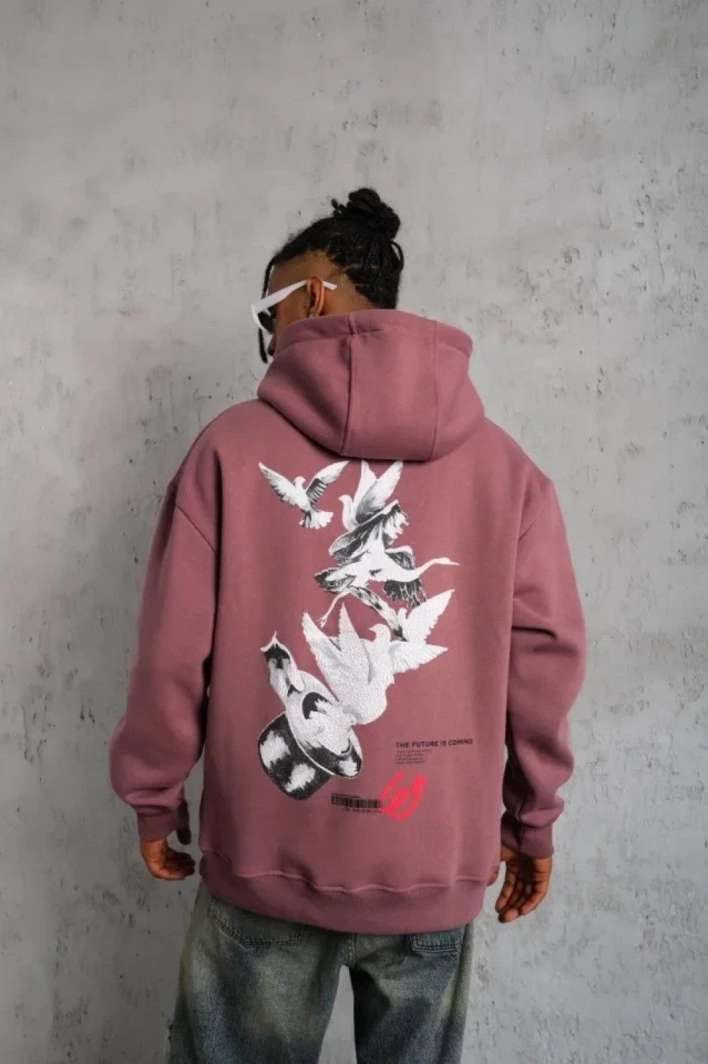 Pileli Store Erkek Şapkalı Güvercin Baskılı Kapşonlu Sweat - Gül Kurusu görsel 4