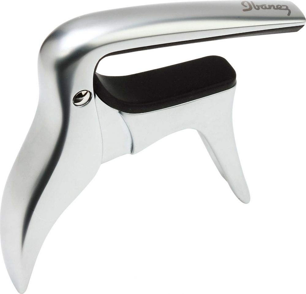 Die Grup Ibanez IGC10 Gitar Kaposu