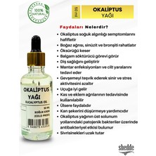 Zeyd Okaliptus Yağı - 50 ml Özel Kutuda