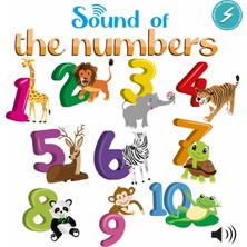 Sound Of The Numbers