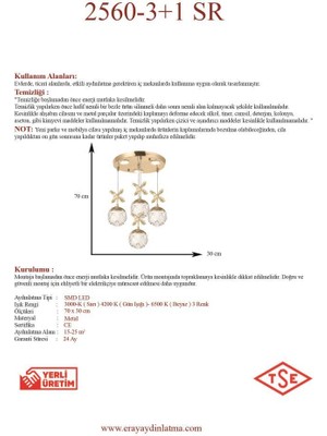 Eray Aydınlatma 2560-3+1 4lü Sarkıt LED Avize