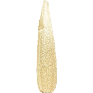 Peştemalcı Levent Kese Hamam Kesesi Kabak Lifi 60 70 cm Ham Kabak Kesesi Işlenmemiş Kabak Lif