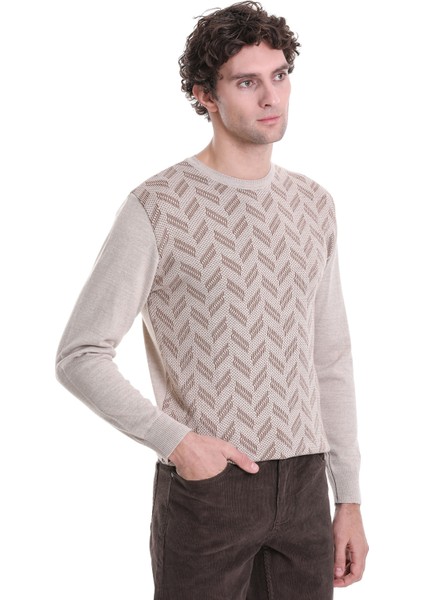 Vizon Regular Fit Jakarlı Bisiklet Yaka Yünlü Triko Kazak modelleri