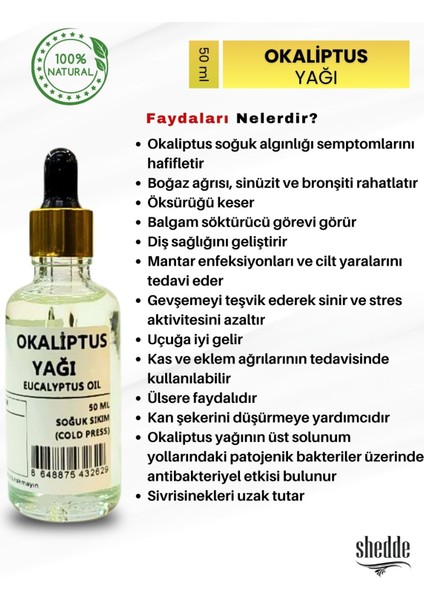 Okaliptus Yağı - 50 ml Özel Kutuda