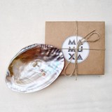Mamuxa Makabe Incili Deniz Kabuğu Tütsülük