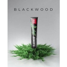 SPLAT Blackwood Diş Macunu 75 ml + Whitening Medium Diş Fırçası