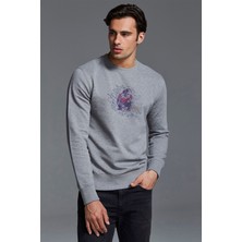 Qivi Ant Man Karınca Adam Baskılı Gri Erkek Örme Sweatshirt Uzun Kol