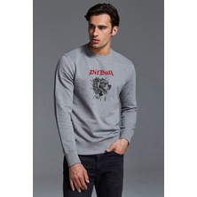 Qivi Pıtbull Dog Baskılı Gri Erkek Örme Sweatshirt Uzun Kol