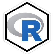 Universal R Dil Sticker Araba Oto Arma Duvar Sticker Ev Dekoratif Çıkartma 15 Cm