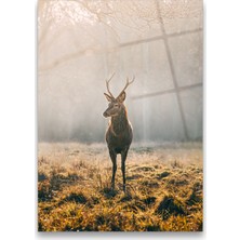 Glass Art Concept Geyik Cam Tablo