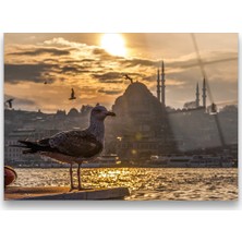 Glass Art Concept Kuş ve Istanbul Cam Tablo