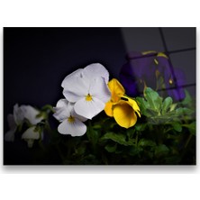 Glass Art Concept Çiçek Cam Tablo