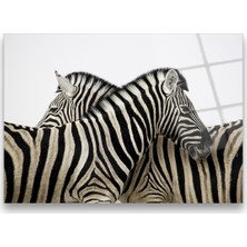 Glass Art Concept Zebralar Cam Tablo