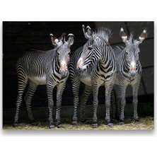 Glass Art Concept Zebralar Cam Tablo