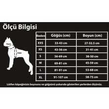 True Love Turuncu Köpek Can Yeleği