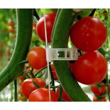 Harman Sera Plastik Bitki Klipsi 25'lik 250'LI