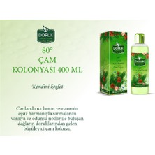 Doruk Çam Kolonyası 80° 400 ml