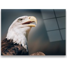 Glass Art Concept Kartal Cam Tablo