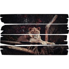 Renkselart Aslan Mdf Tablo 2353 (Model E)