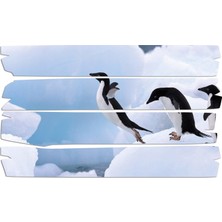 Renkselart Penguen Mdf Tablo 1856 (Model E)