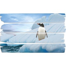 Renkselart Penguen Mdf Tablo 1857 (Model E)