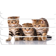 Renkselart Kedi Mdf Tablo 2553 (Model E)