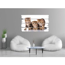Renkselart Kedi Mdf Tablo 2553 (Model E)