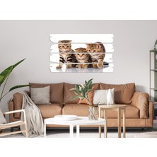 Renkselart Kedi Mdf Tablo 2553 (Model E)