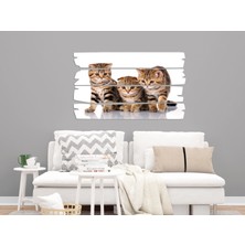 Renkselart Kedi Mdf Tablo 2553 (Model E)